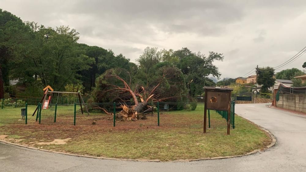 Destrosses a Riells i Viabrea per un tornado