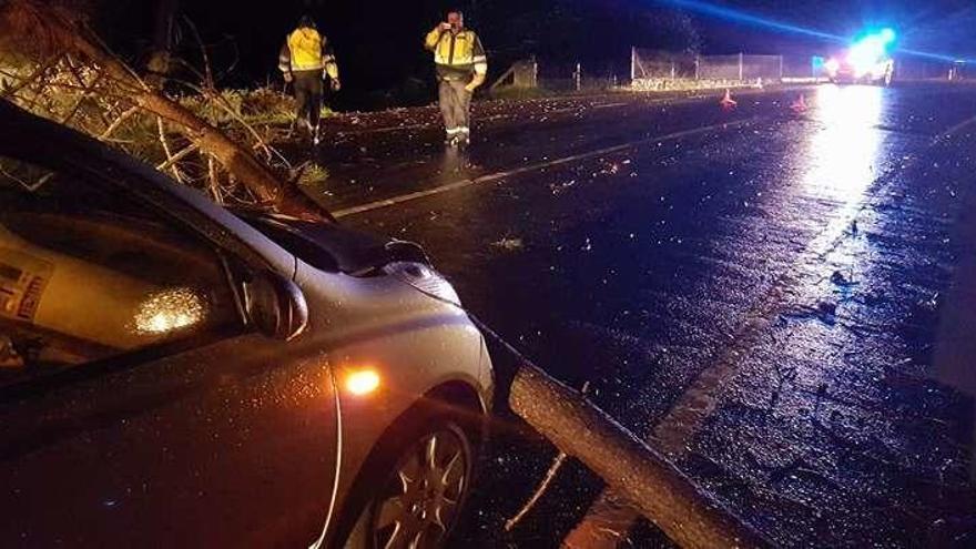 Algunos árboles cruzan la calzada de lado a lado. // Policía Rianxo