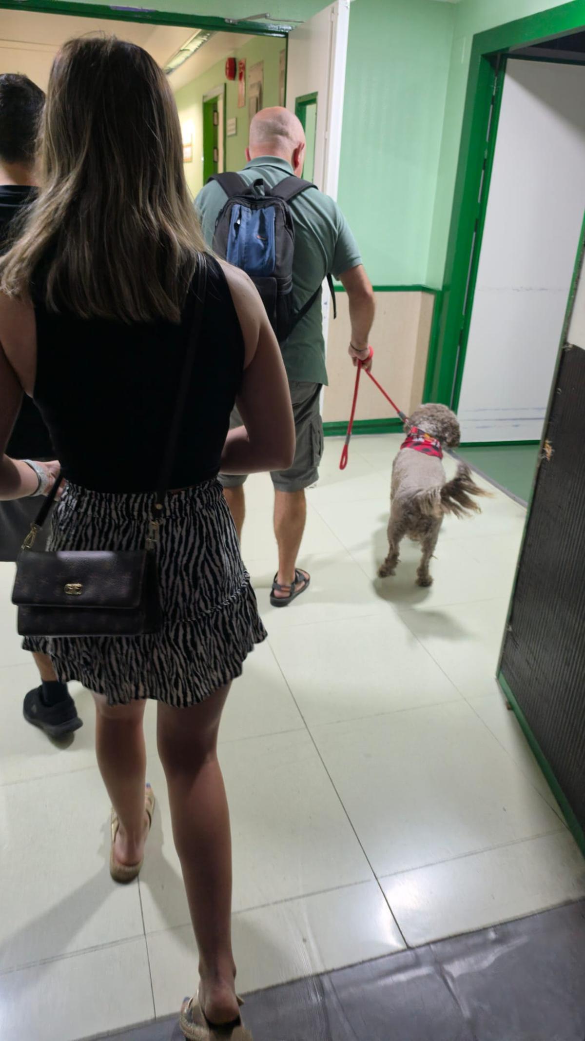 Fotogalería/Las imágenes del reencuentro de Aida y Boira en el hospital de Plasencia