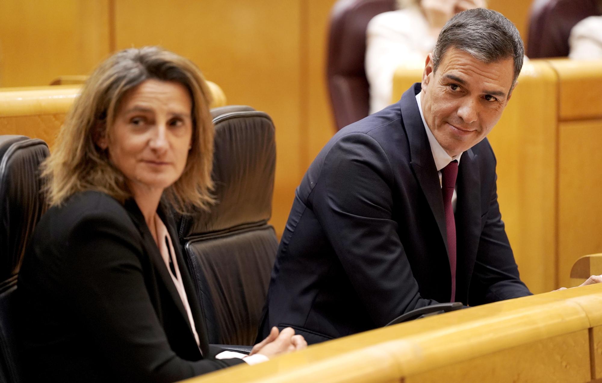 El cara a cara entre Sánchez y Feijóo en el Senado, en imágenes