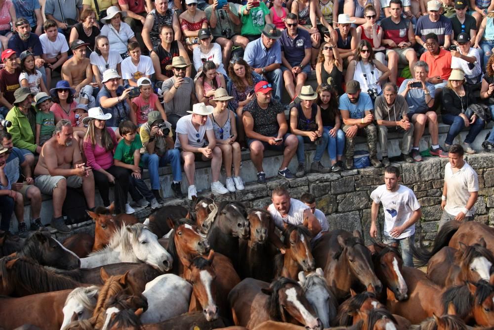 Sabucedo exhibe bravura en su Rapa das Bestas