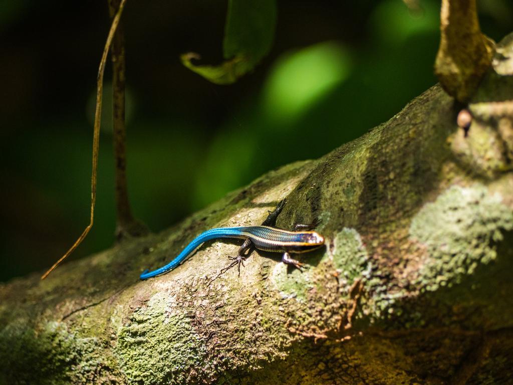 Parque Nacional Natural Tayrona, Colombia