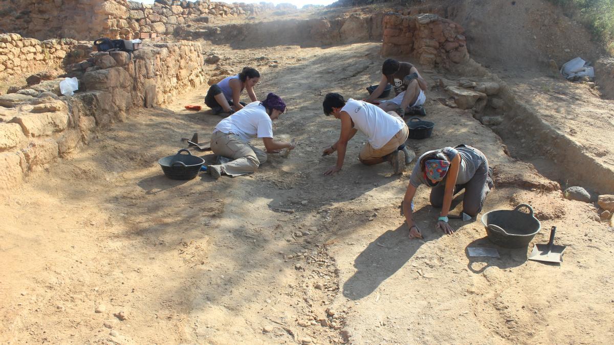 Excavació del 2016 al Mas Castellar de Pontós