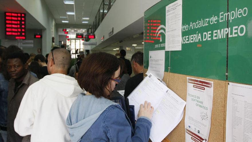 Los detenidos trabajan en el Servicio Andaluz de Empleo de Málaga.