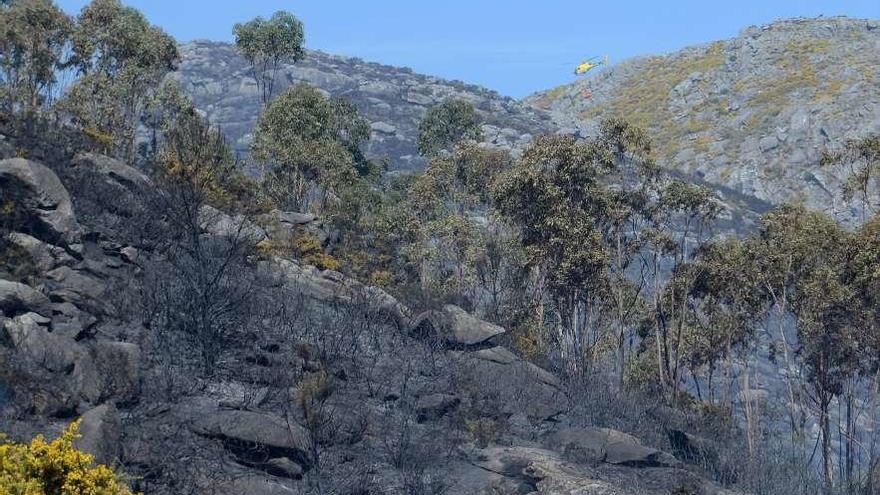 El incendio de Boiro afectó, sobre todo, a monte raso y eucaliptos. // Noé Parga