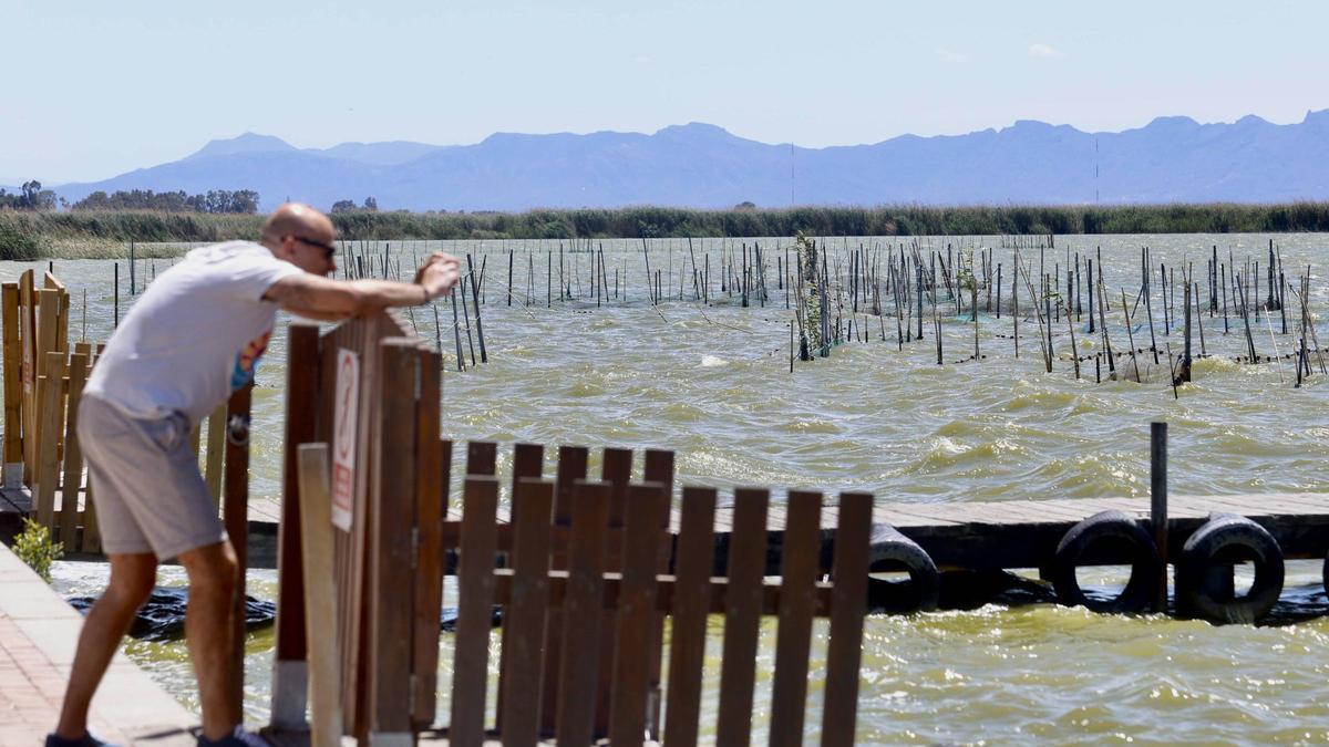 Un hombre fotografía el lago de l'Albufera en el mirador de la Gola de Pujol.
