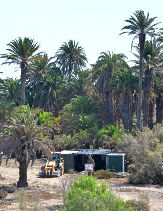 PARQUE TONY GALLARDO OBRAS