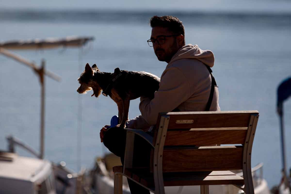 Bendición de animales en Sant Antoni