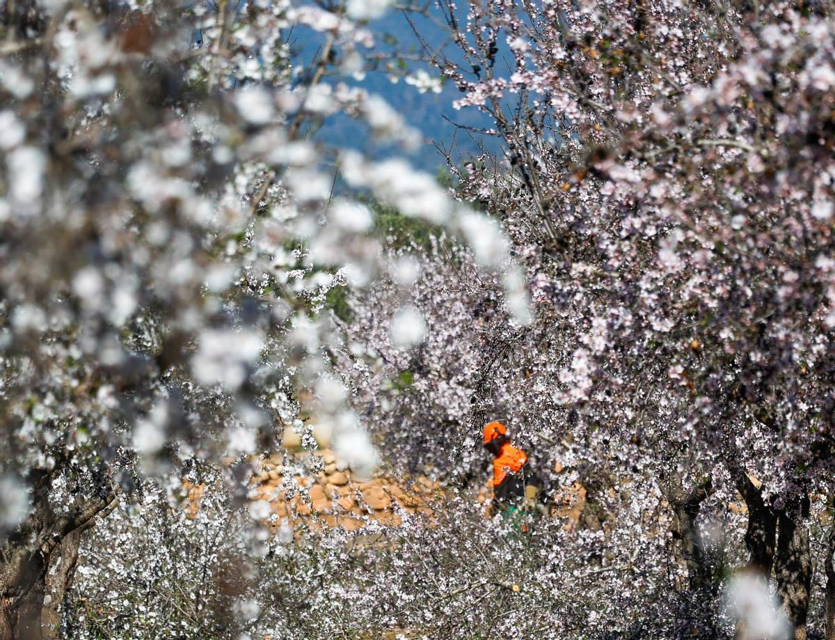 Protesta contra la planta de biometano de Llíria por el inicio de las obras