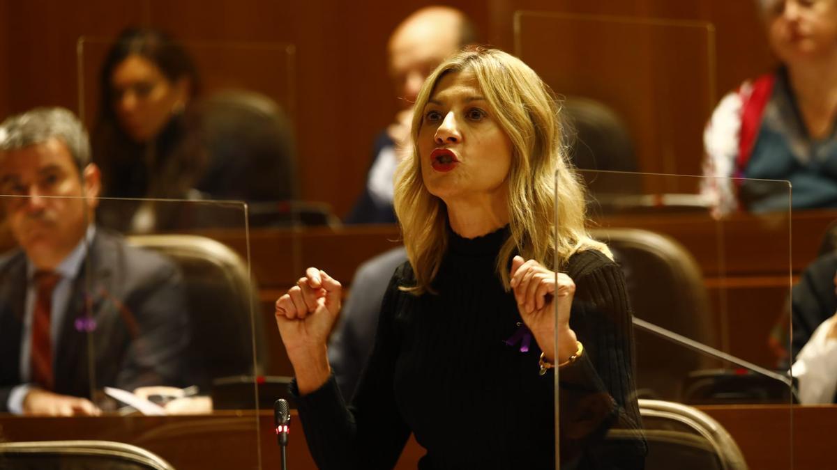 Mar Vaquero, durante su intervención este viernes en las Cortes.