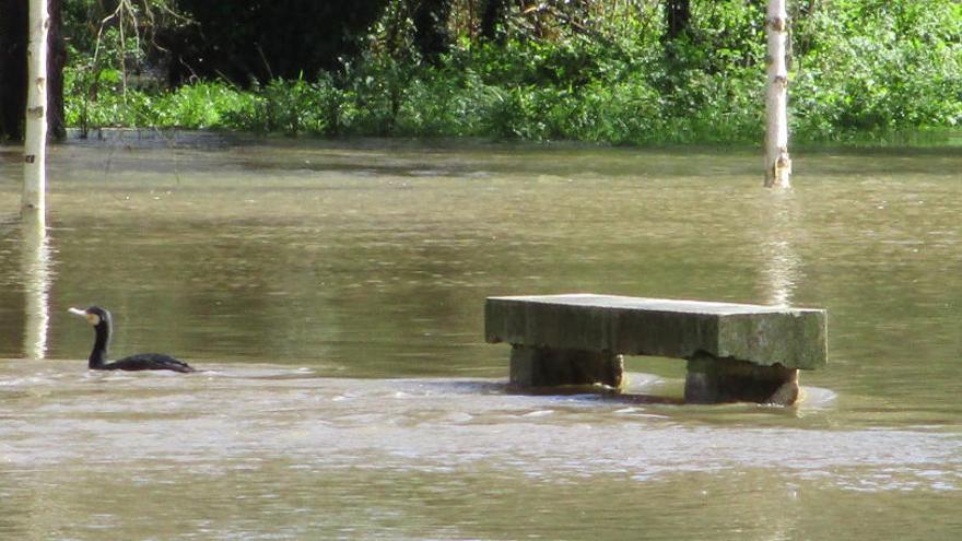 Inundación en O Seixedo.