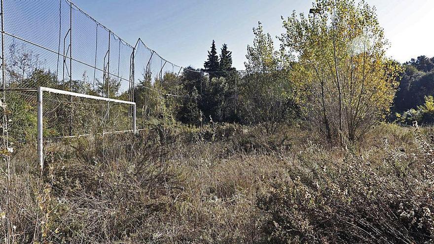 Puig d&#039;en Roca: un bosc en un camp de futbol abandonat