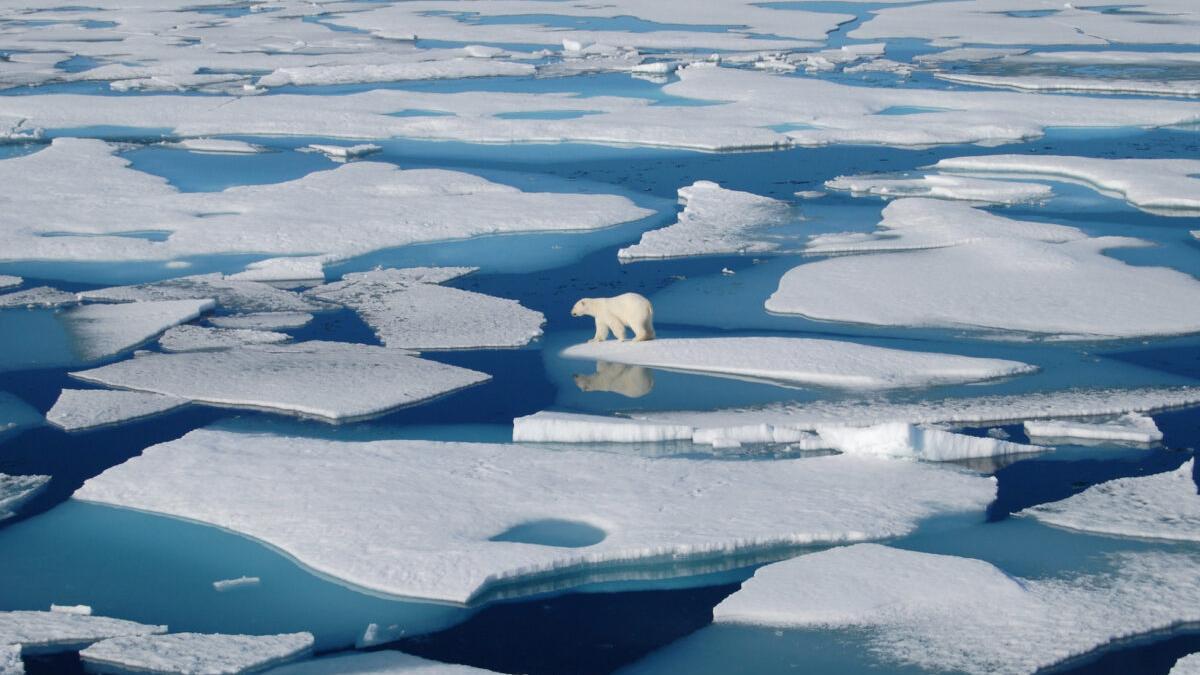 Hielo perenne del Ártico es arrastrado a aguas cálidas por el viento