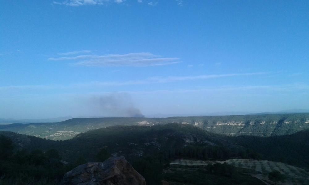 Incendio forestal en Bolbaite