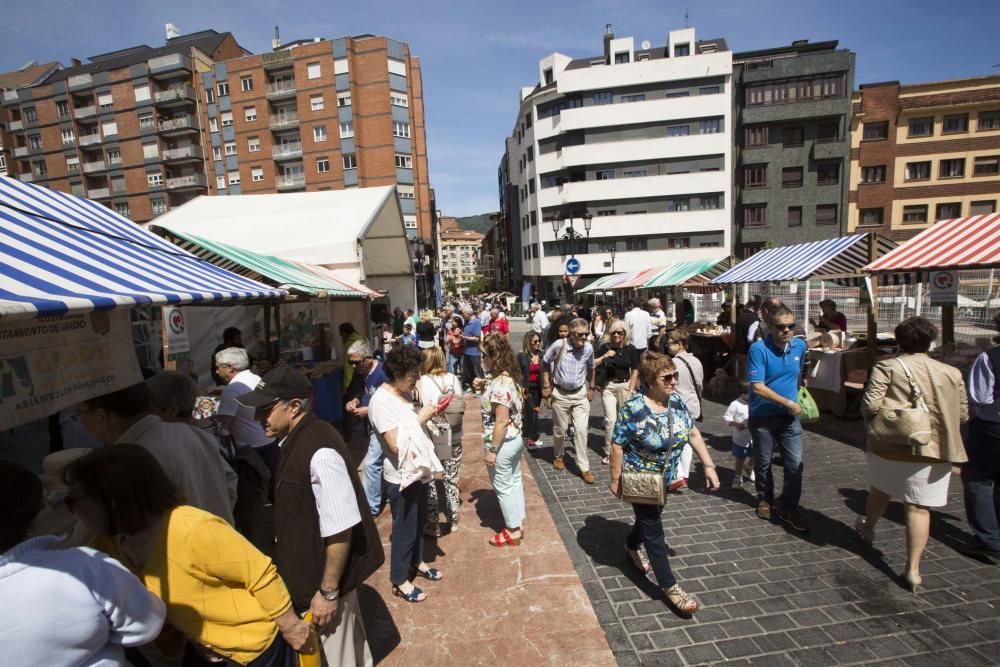 II Feria de Quesos Artesanos de Asturias en el Bulevar de la Sidra