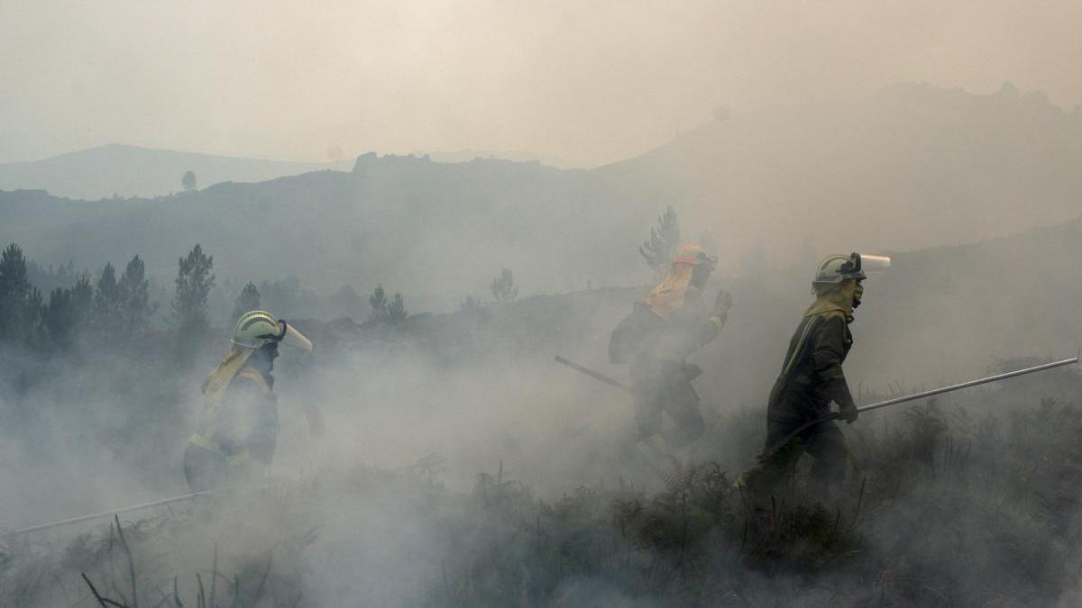 Trabajos de extinción de uno de los incendios de este verano en Galicia. // Brais Lorenzo