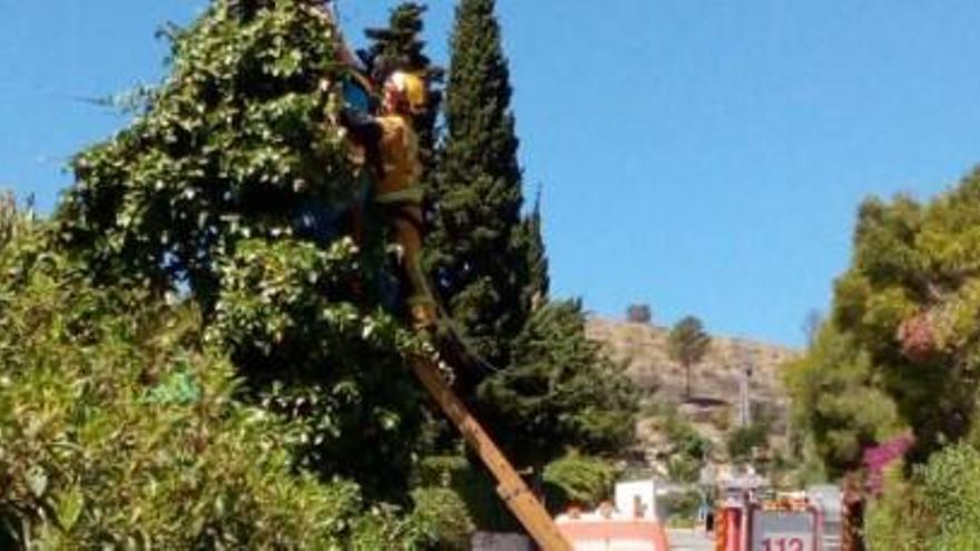 Los bomberos rescatan a un trabajador que se había quedado colgando de un poste de telefonía en Xàbia