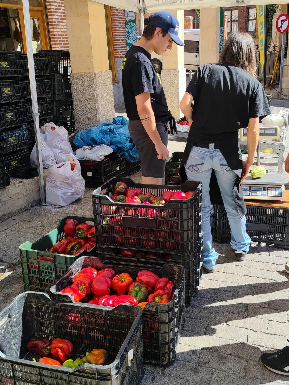 Feria del Pimiento de Benavente 2026, en imágenes. Feria del Pimiento de Benavente 2026, en imágenes.