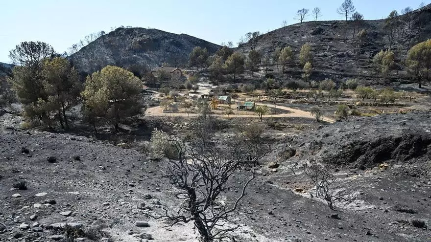 Muere una mujer hospitalizada por el incendio de Los Gallardos y las víctimas ascienden a 13