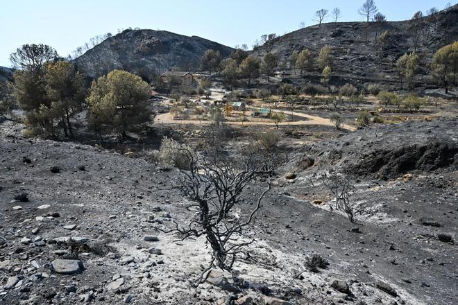 Muere una de las mujeres hospitalizadas por el incendio de Los Gallardos y se elevan a 13 los fallecidos