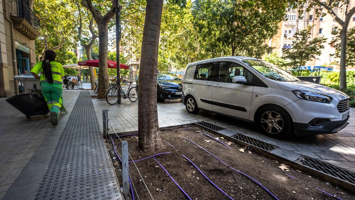 Los vecinos de la Esquerra del Eixample retan al ayuntamiento con un plantado de parterres abandonados