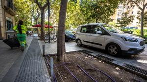 Uno de los parterres, incluso con sistema de riego, que el ayuntamiento ha decidido abandonar a su suerte.