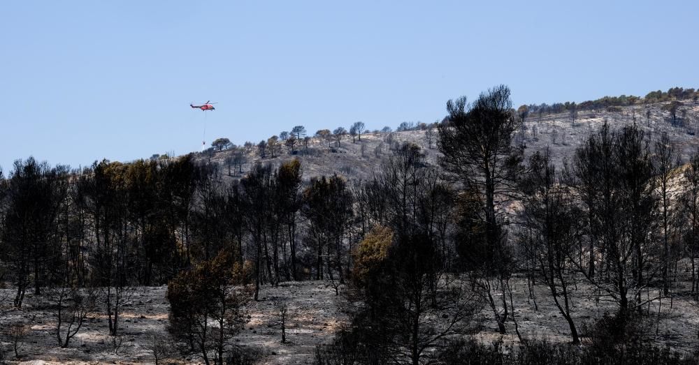 Así ha quedado la zona tras el incendio.