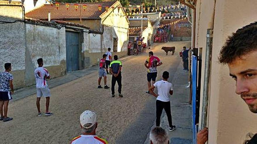 Un grupo de aficionados frente al astado las fiestas pasadas.