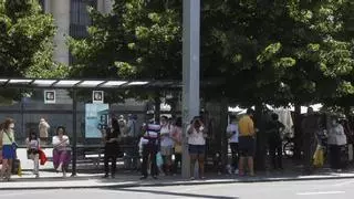 ¿Cuáles son los nuevos requisitos para viajar gratis en el bus y el tranvía de Zaragoza?