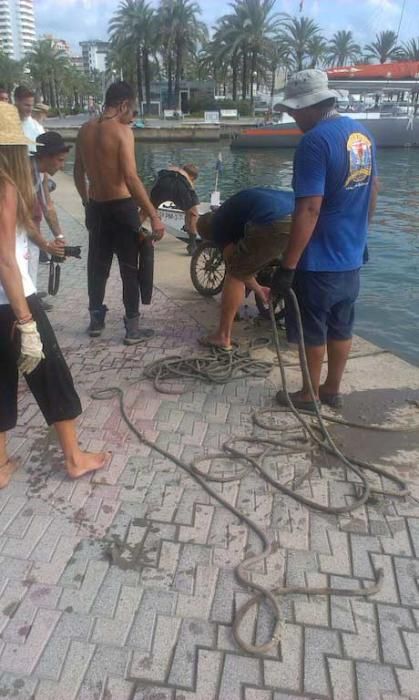 Sacan toneladas de basura de la bahía