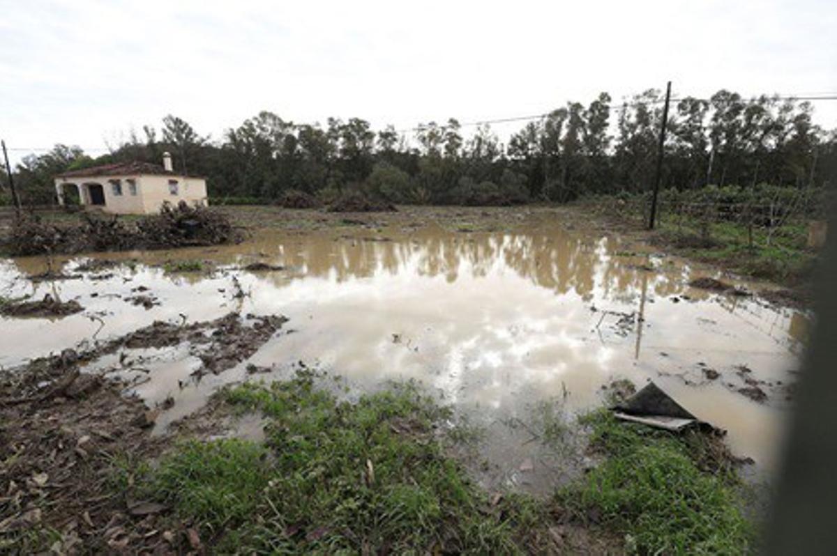 Un campo anegado por el tren de borrascas de enero y febrero.