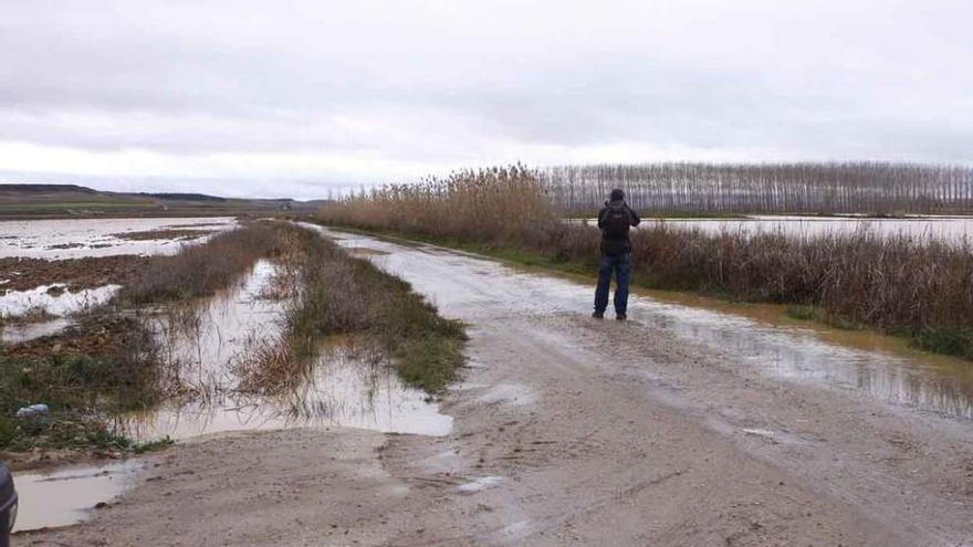 Los mayores daños del canal Toro-Zamora, en la unión del Salado y del Valderaduey