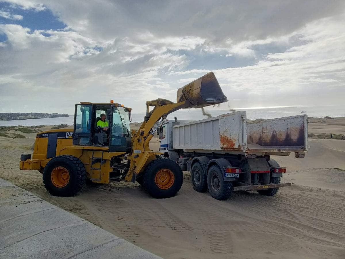 Un tractor recoge y deposita la arena sobre un camión para su traslado a la orilla de Playa del Inglés.