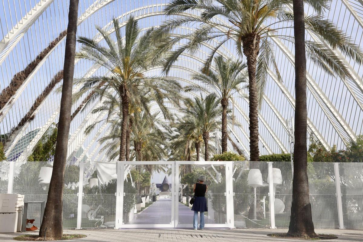 La terraza de L'Umbracle espera reabrir sus puertas mañana