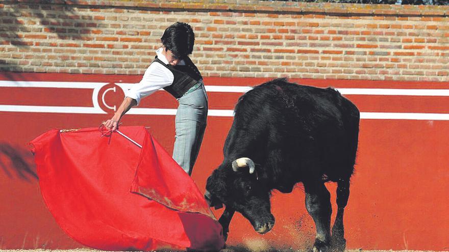 Marco Pérez, el mozart del toreo llega a Castellón