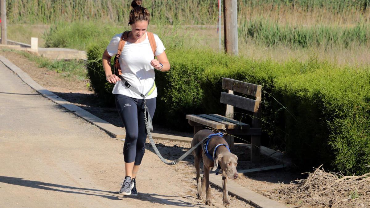 «Saca a pasear tu educación», la última campaña de Puçol a favor de un pueblo libre de caca