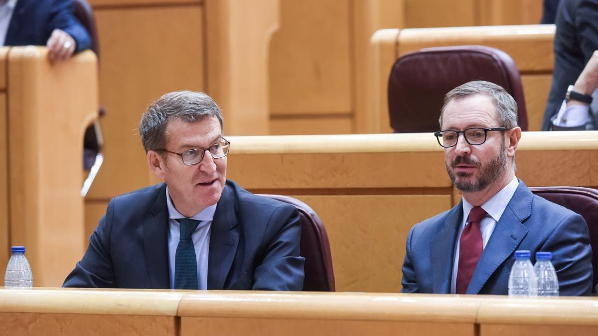 Feijóo y Maroto en sus escaños durante el pleno en el Senado