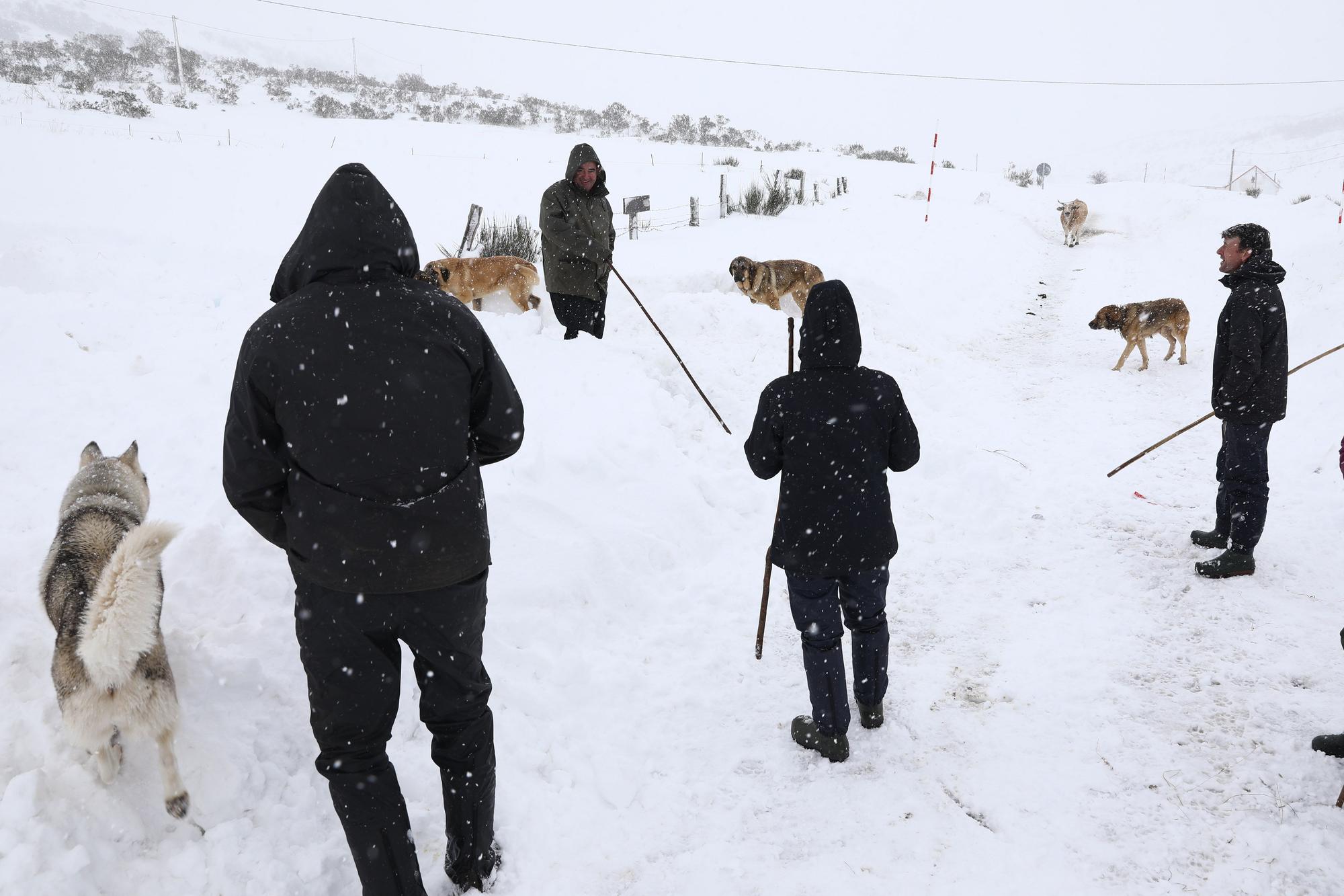 El Puerto de Somiedo, bajo la nevadona “de noviembre a marzo”