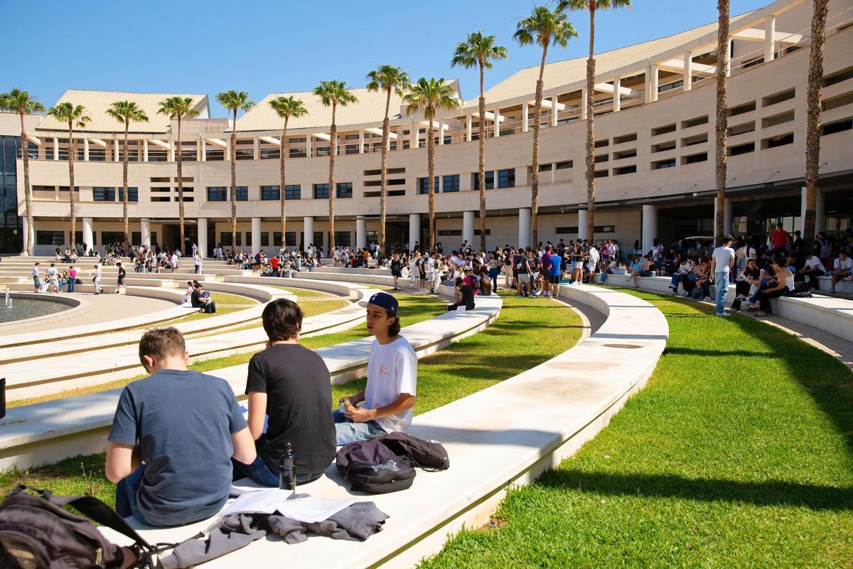 Imagen de archivo del campus de la Universidad de Alicante.