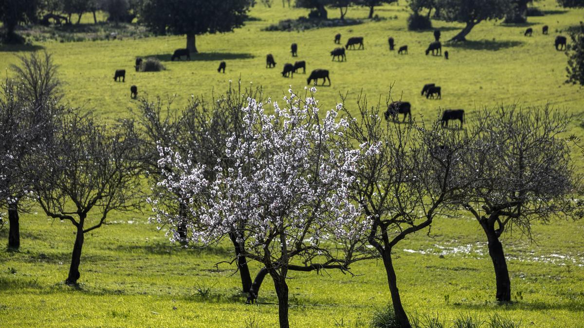 El encuentro analizará el presente y el futuro del sector agrario.