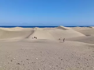 Ni Las Palmas de Gran Canaria ni Santa Cruz de Tenerife: el INE revela la localidad con más turistas de Canarias