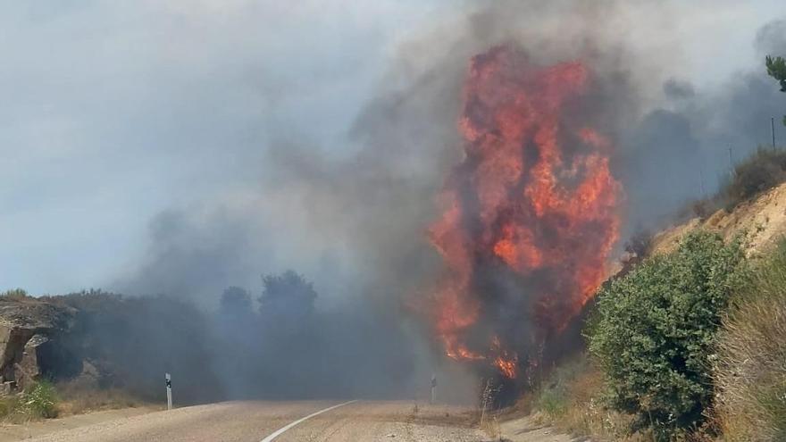 Controlado el incendio en Rionegro del Puente