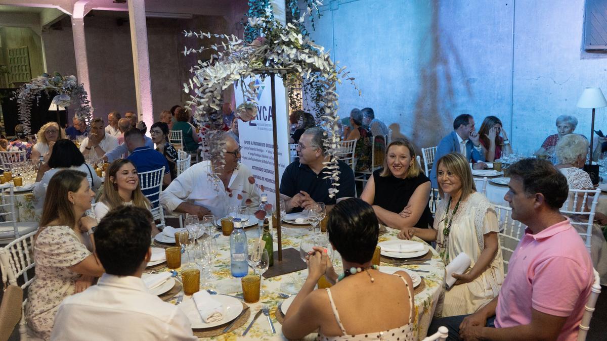 La presidenta de Azayca, Pilar de la Higuera, comparte mesa con la consejera de Familia, Isabel Blanco, y el vicepresidente de la Diputación, Jesús María Prada.