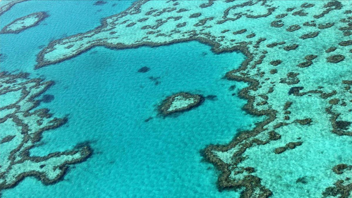 Vista aérea de la Gran Barrera de Coral, enclave amenazado por el cambio climático