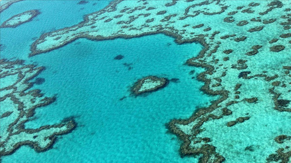 (FILES) This file photo taken on November 20  2014  shows an aerial view of the Great Barrier Reef off the coast of the Whitsunday Islands  along the central coast of Queensland  - Climate change has become the biggest threat to UN-listed natural world heritage sites like glaciers and wetlands  and has pushed Australia s Great Barrier Reef into  critical  condition  conservationists said December 2  2020  (Photo by Sarah LAI   AFP)