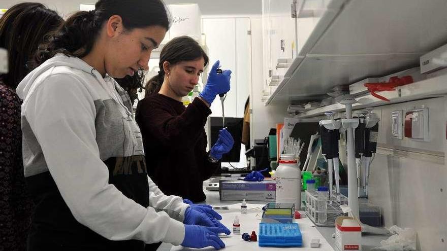 Alumnas de Secundaria practican en un laboratorio durante la jornada del año pasado. // Duvi