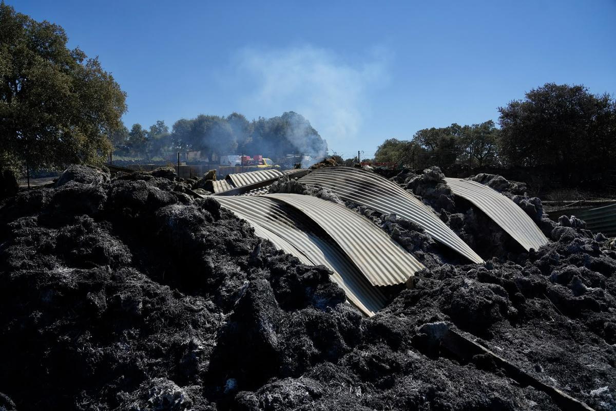 GALERÍA | El paso del fuego por Mámoles arrasa la explotación de Alfredo Fernándes