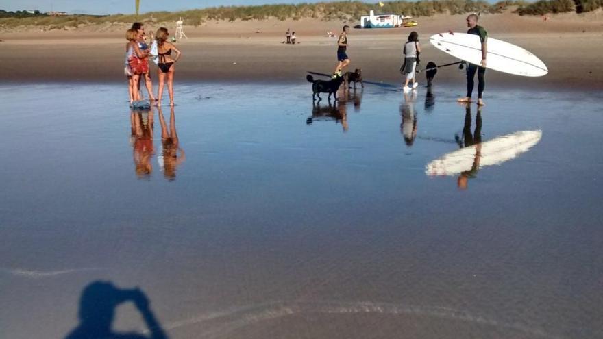 Los perros sueltos, ayer, en la playa de San Juan