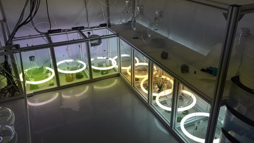 Investigación de Space Farmers