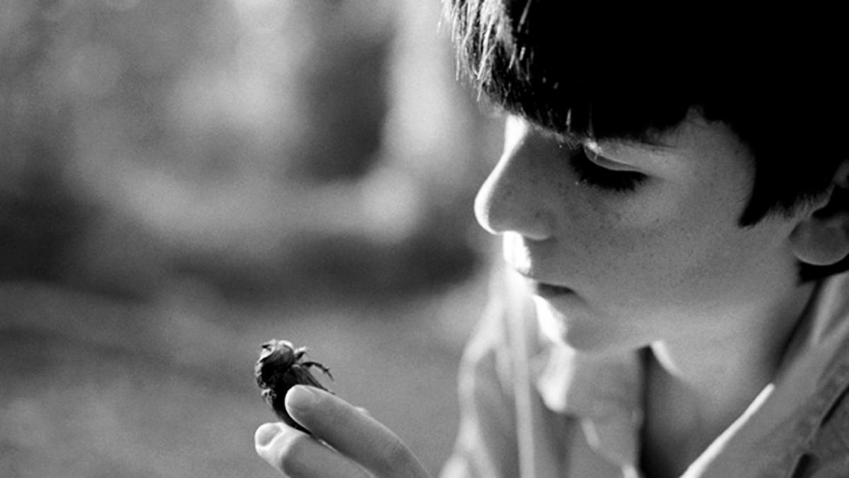 Un detalle de la película, protagonizada por Miquel, el hijo del galerista Sebastià Rosselló.